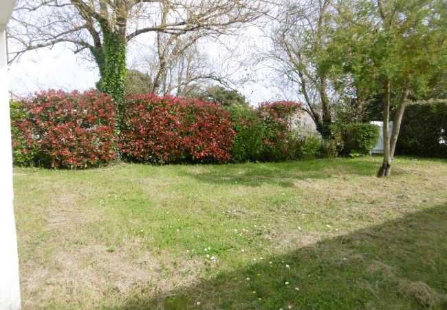 House in Le Château-d´Oléron - Le nid douillet du Chateau House in Le Château-d´Oléron - Le nid douillet du Chateau