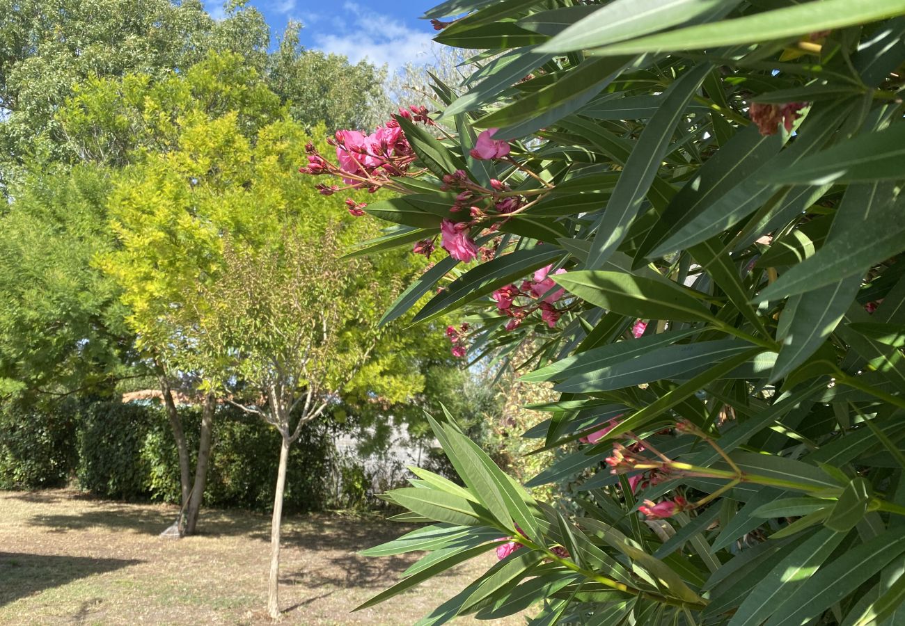 House in Le Château-d´Oléron - Le nid douillet du Chateau House in Le Château-d´Oléron - Le nid douillet du Chateau