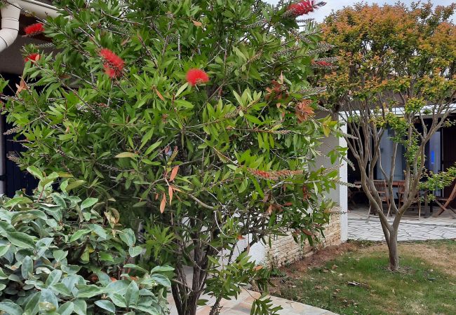 House in Saint-Denis-d´Oléron - Les Amarres belle maison 1.5km de la plage House in Saint-Denis-d´Oléron - Les Amarres belle maison 1.5km de la plage