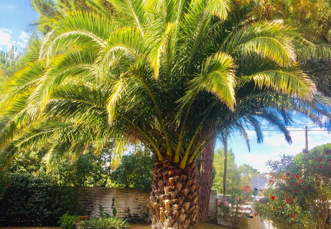 Villa in Saint-Georges-d´Oléron - La Tanière, piscine et 300m de la mer Villa in Saint-Georges-d´Oléron - La Tanière, piscine et 300m de la mer