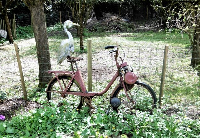 House in Le Château-d´Oléron - Le Chai Maison de charme pour tribu joyeuse House in Le Château-d´Oléron - Le Chai Maison de charme pour tribu joyeuse